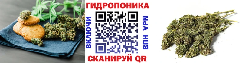Cannafood марихуана закладка Нижний Новгород