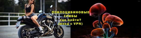 ГАЛЛЮЦИНОГЕННЫЕ ГРИБЫ Новокубанск
