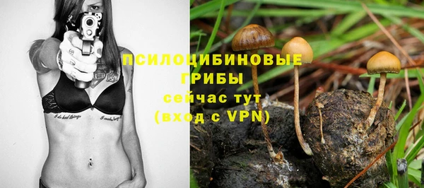 ГАЛЛЮЦИНОГЕННЫЕ ГРИБЫ Новокубанск