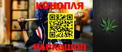 сатива Нальчик