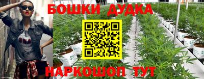 молекула духа Гусев