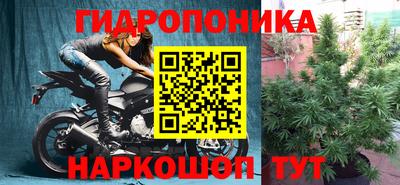 мяу мяу кристалл Гусь-Хрустальный
