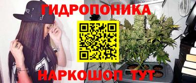 мяу мяу кристалл Гусь-Хрустальный