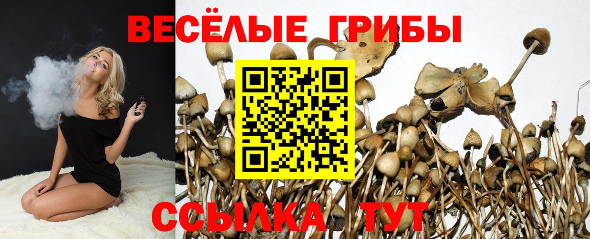 Нижний Новгород  Галлюциногенные грибы мицелий  Вход с VPN  Галлюциногенные грибы Cubensis 