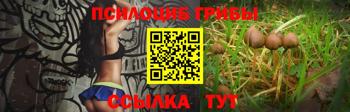Галлюциногенные грибы мицелий Нижний Новгород